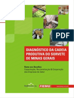 Diagnóstico Da Cadeia Produtiva de Sorvete