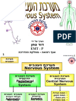 מערכת העצבים