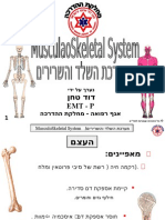 מערכת השלד והשרירים