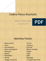 Cedera Plexus Brachialis 