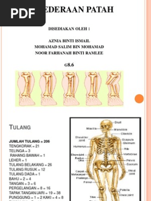 Patah Group Pdf