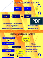 Fisiologia Da Criança