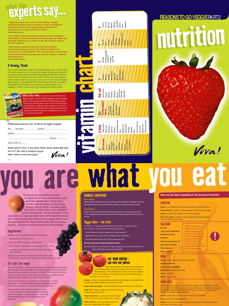 Vegan Nutrition | PDF | Vegetarianism | Veganism