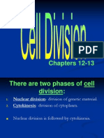 ap - cell division - mitosis