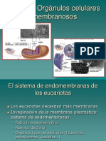 Tema 4. Organulos membranosos.pdf