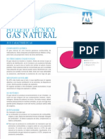 Folleto Metrogas Gas Natural
