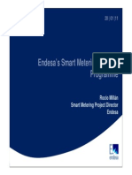 Spain - Endesa's Smart Metering Roll-Out Programme