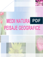 Medii Naturale_peisaje Geografice