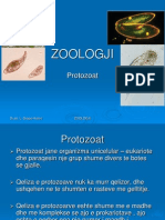 Protozoa 235-6523