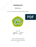 Makalah Identifikasi Bacillus SP