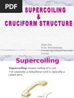 Dna Supercoiling