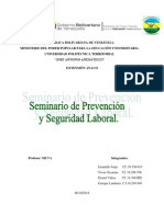 Importancia de Los Servicios de Salud y Seguridad Laboral