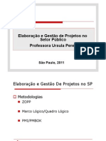 elabora_e_gestao_projetos.pdf