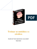 Treinar Os Sentidos e o Cérebro - Robert Dehin