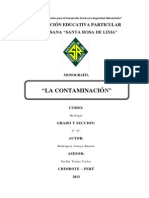 Monografia Contaminación Ambiental