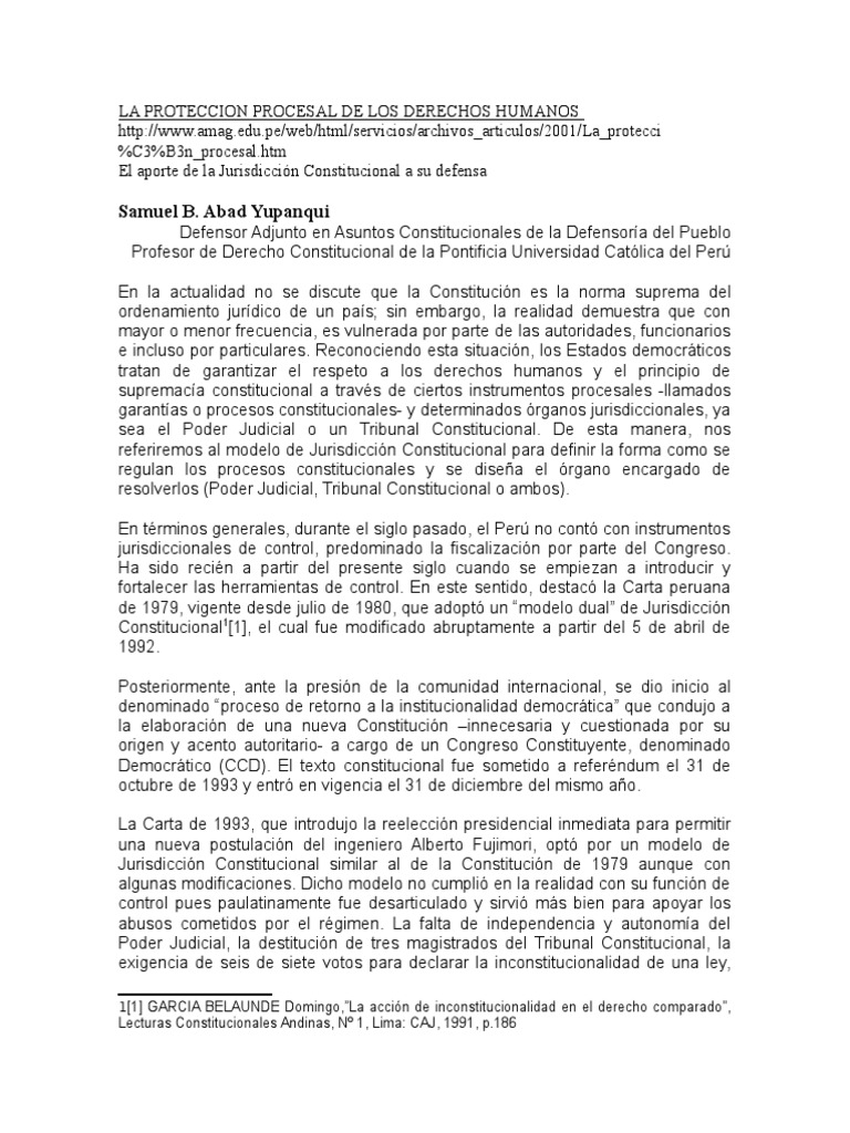 La Proteccion Procesal de Los Derechos Humanos | PDF | Habeas corpus ...