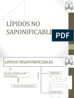 Proyecto Lipidos No Saponificables