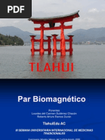 Par Biomagnetico Tlahui