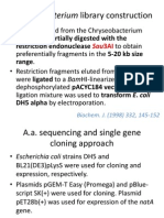 Chryseobacterium Library Construction: Restriction Endonuclease Range