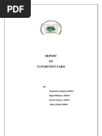 Download Analysis Yogurt Case by Shashank Chauhan SN24558569 doc pdf