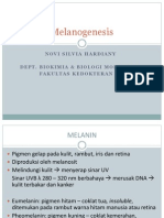 Melanogenesis