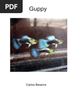 Guppy