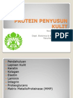 Protein Penyusun Kulit