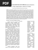 Download IDENTIFIKASI ALKALOID PADA DAUN SIRSAK Annona muricata L by Hanna Karunia Agnita SN245602246 doc pdf