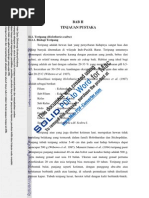 Download BAB II Tinjauan Pustaka by Marsya Diah Izdihar SN245602765 doc pdf