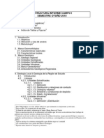 Estructura Informe Campo 2010i