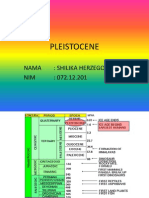 Shilika H. F. 07212201 - Pleistocene