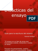 Didácticas Del Ensayo