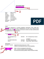 CV Meike Verschoor PDF