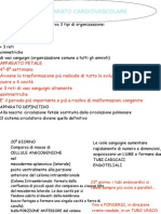 Schemi Organogenesi Cuore - Key