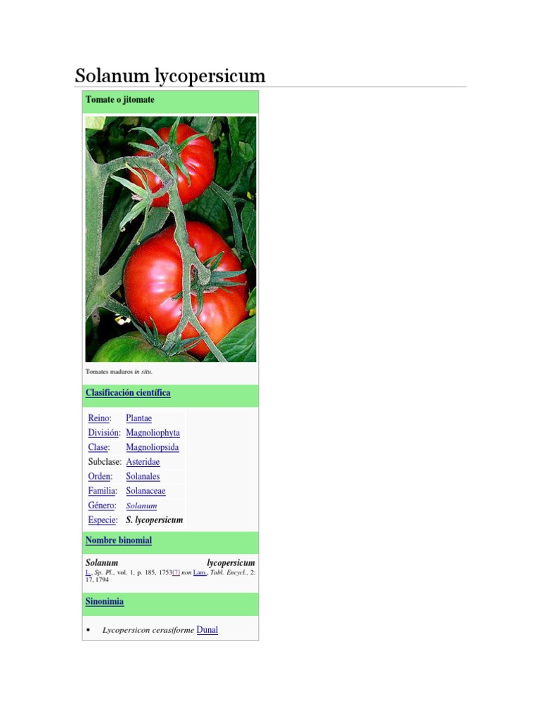 Taxonomía Del Tomate PDF Tomate Plantas edu.svet.gob.gt