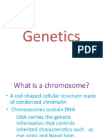 genetics - genesdnachromosomes pp