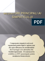 Mediatori Principali Ai Simpaticului