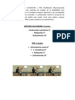 Ejemplo Solveborn y PNF PDF