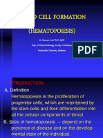 (1) Hematopoiesis