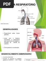 Sistema Respiratório 