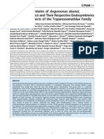 Predicting the Proteins of Angomonas Deanei, Strigomonas Culicis and Their Respective Endosymbionts Reveals New Aspects of the Trypanosomatidae Family