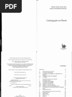 Catalogacao No Plural