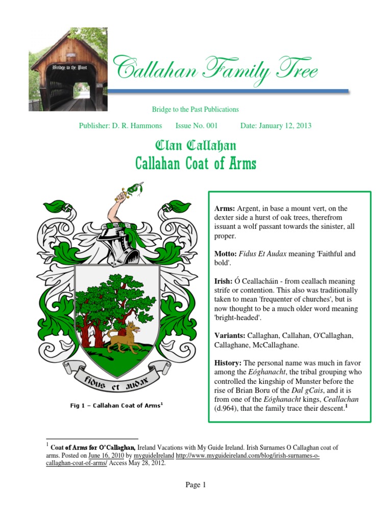 2 - Clan Callahan - Coat of Arms and Surname History | PDF | Ireland