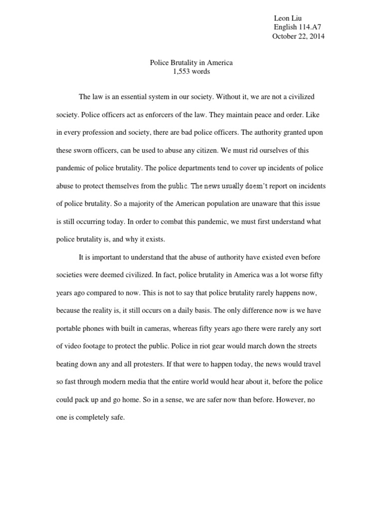 Policing the police essay picture