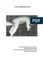Cinesiología PDF