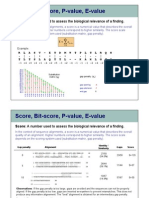 Stat Scores