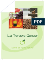 Folleto Terapia Gerson