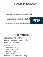 Aula 2A Ciclo Do C (1)