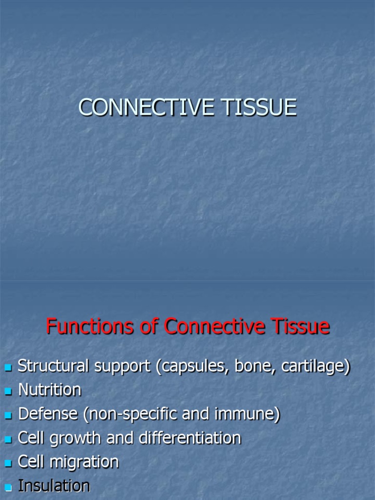 Connective Tissue | PDF | Extracellular Matrix | Connective Tissue