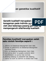 Kualitatif Fenotipe Genetika Kelompok 2